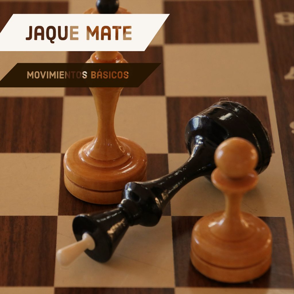 Jaque Mate! ♟️ Seguro ya escuchaste varias veces esto, pero ¿Sabías que  existen varias maneras de hacer Jaque Mate en una partida? Te muestro cómo  hacer, By Ajedrez Jaguarete